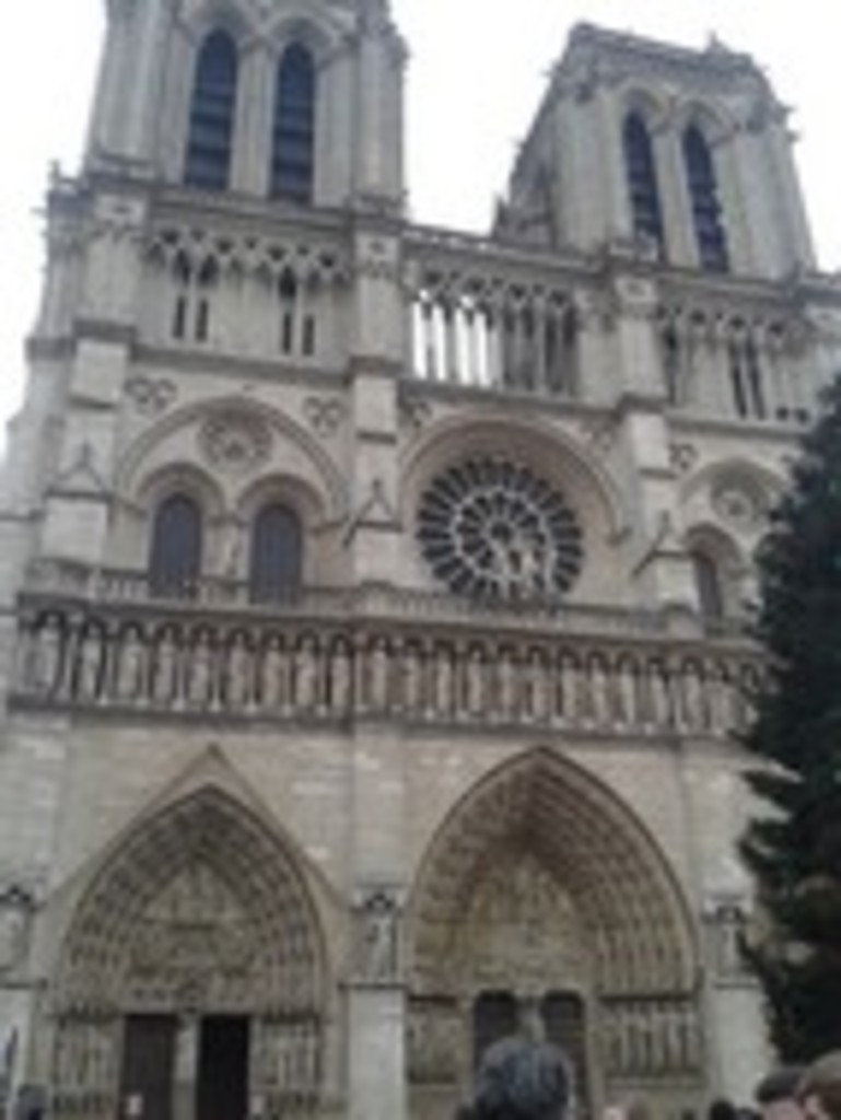 The cathedral Notre-Dame of Paris
